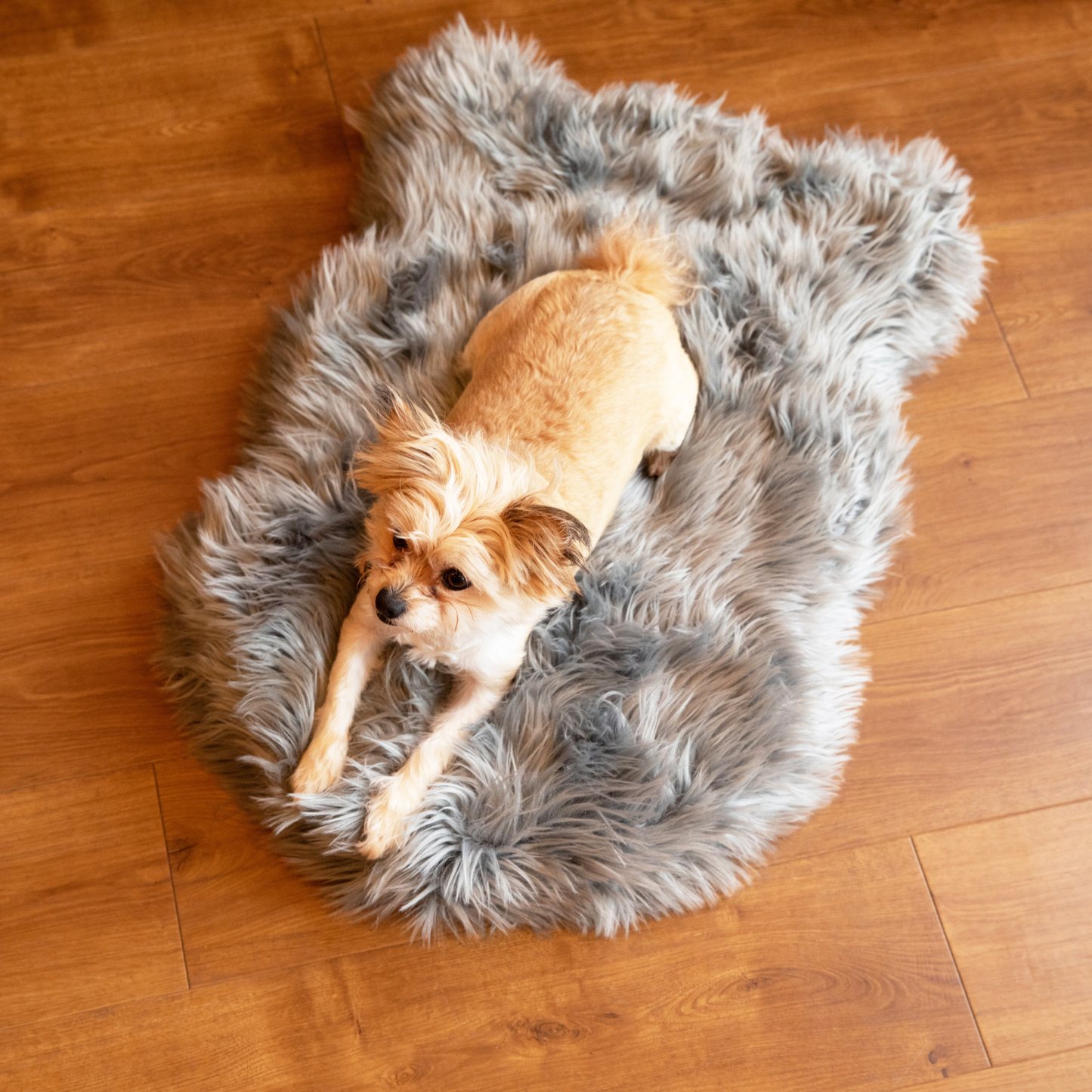 PupRug by Paw.com® Faux Fur Orthopedic Dog Bed - Curve Charcoal Grey Dog Beds Paw