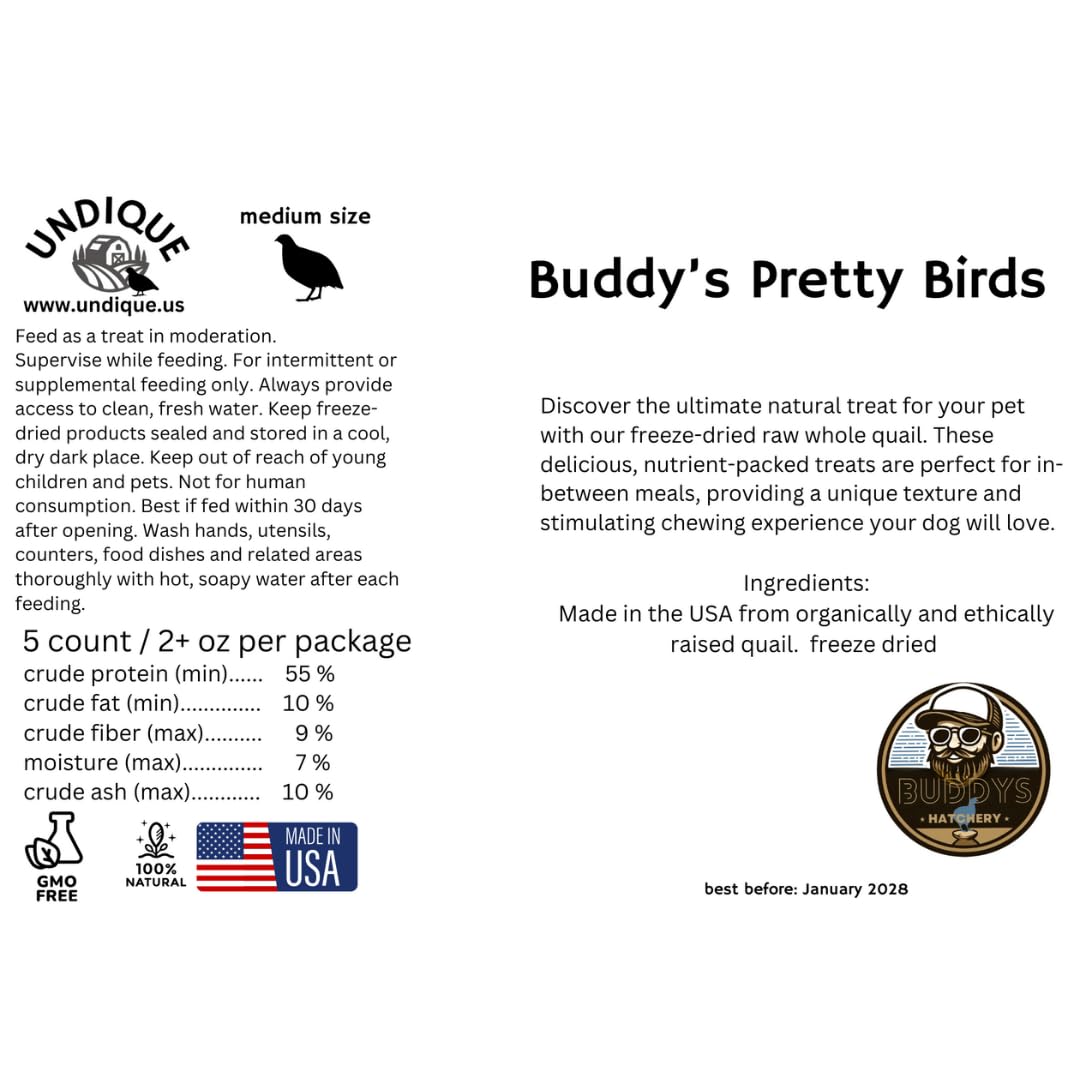 Whole Quail Chick for Carnivore Pets - Natural Prey Feeding - Quality Protein Source Medium Size Chicks 5 Count Quailz.com by Undique LLC