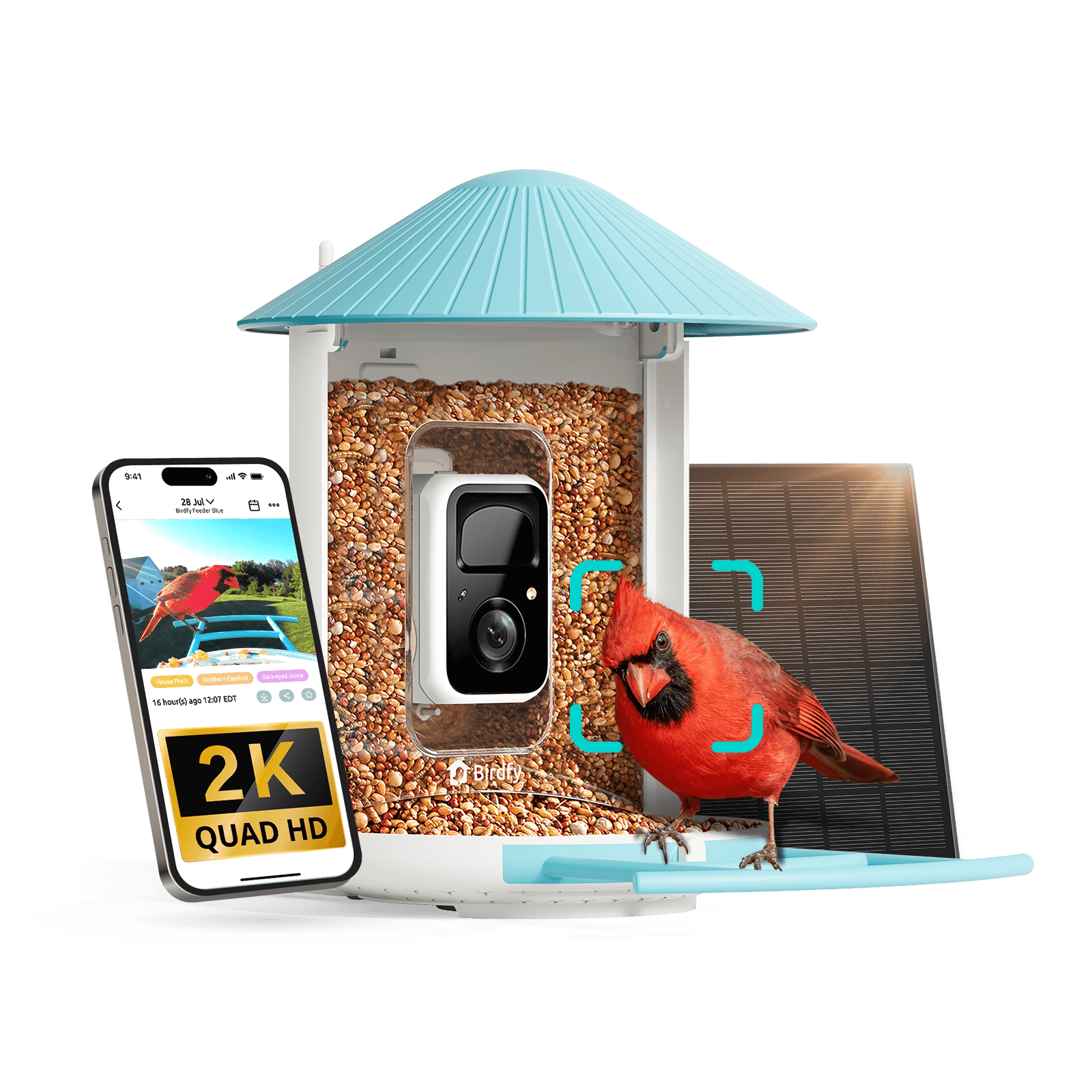 Birdfy Feeder - AI-Powered Smart Bird Feeder with Camera Solar AI Lifetime Free Birdfy Feeder Birdfy