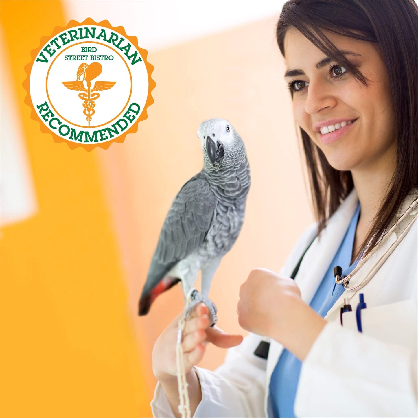 Parrot Food Sample Pack Parrot Food Bird Street Bistro