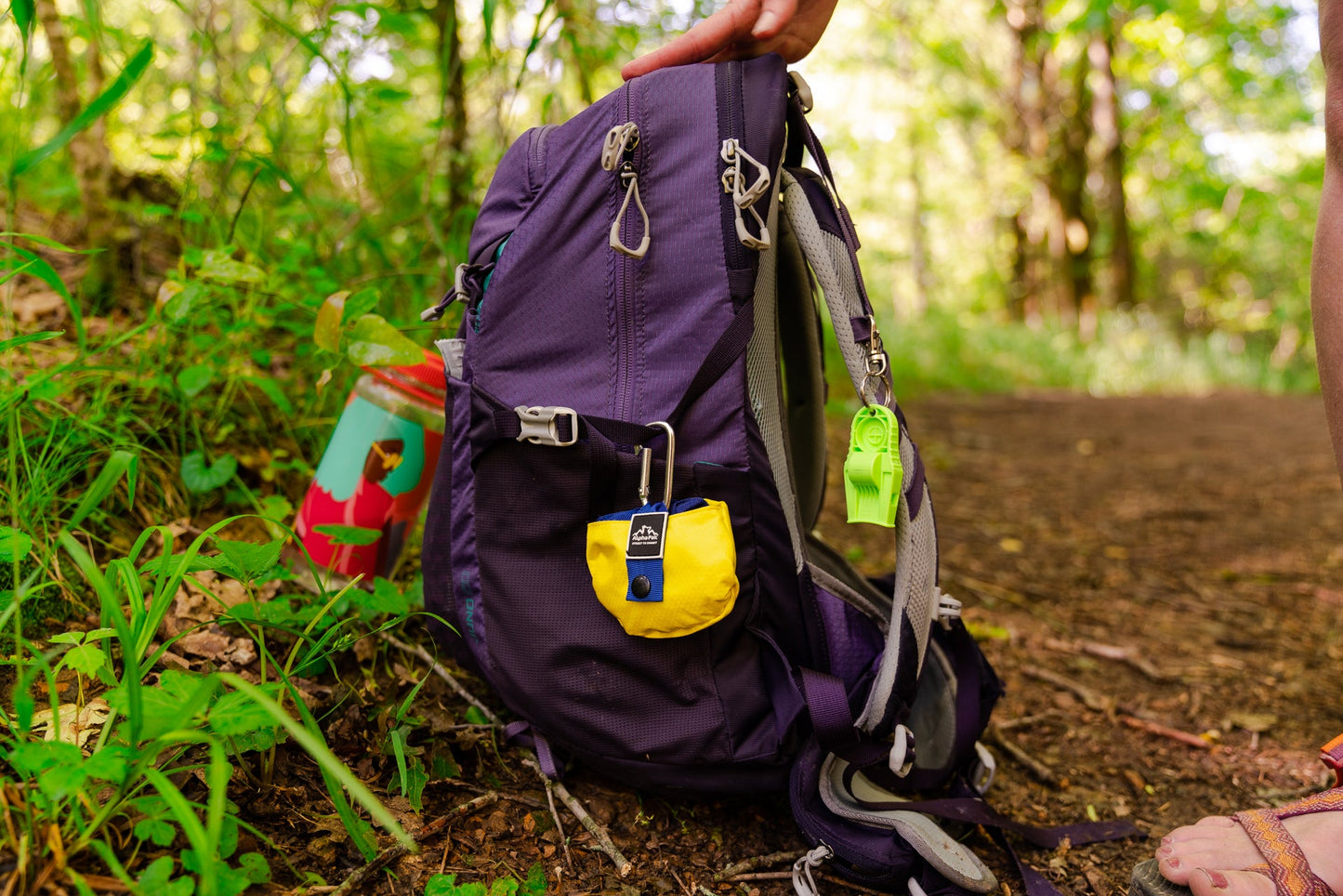 Gallatin Lightweight Collapsible Dog Bowl DOG BOWL Alpha Pak