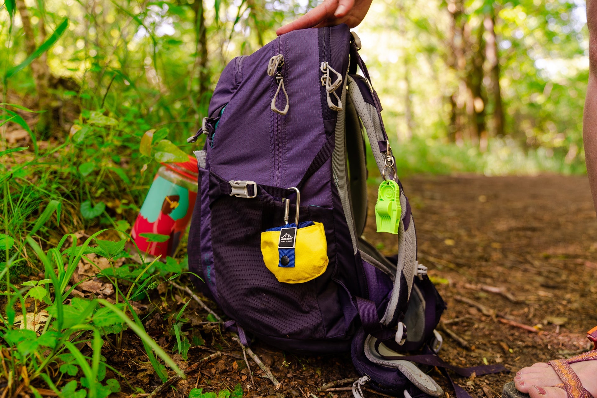 Gallatin Lightweight Collapsible Dog Bowl DOG BOWL Alpha Pak