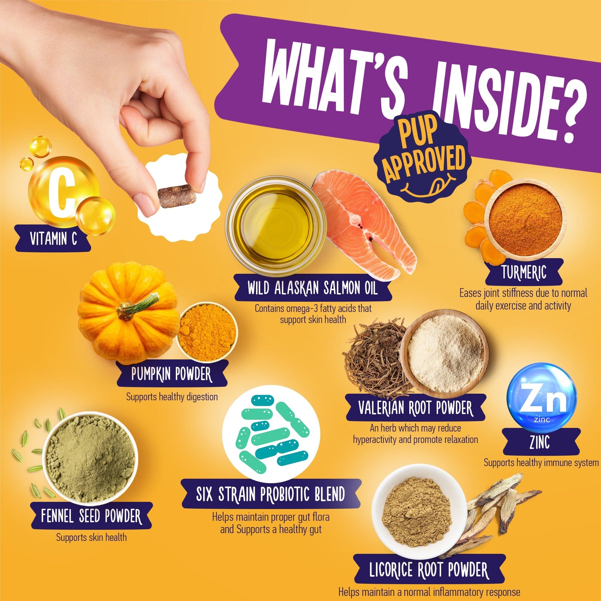 Seasonal Allergy and Skin Support For Dogs 9oz Jar (120 count) Dog Soft Chews Dogline