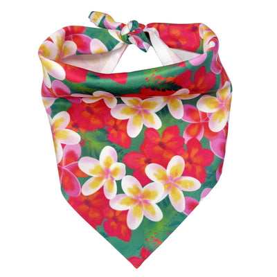 Aloha Dog Bandana 2 Hounds Design