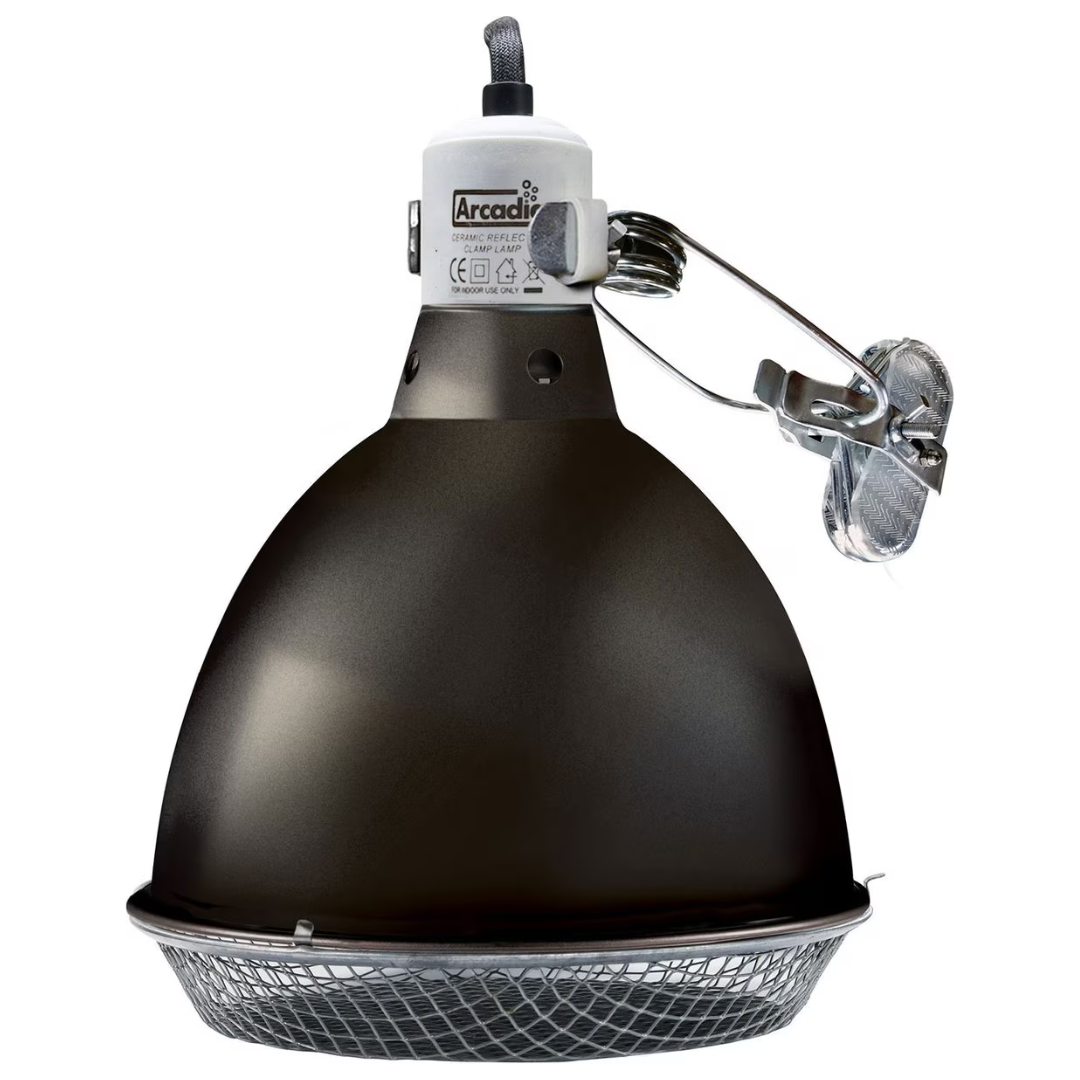 Arcadia Ceramic Reflector Clamp Lamp, Graphite Heating ReptiChip LLC