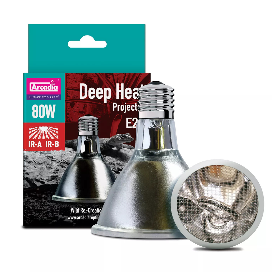 Arcadia Deep Heat Projectors 80W Heating ReptiChip LLC