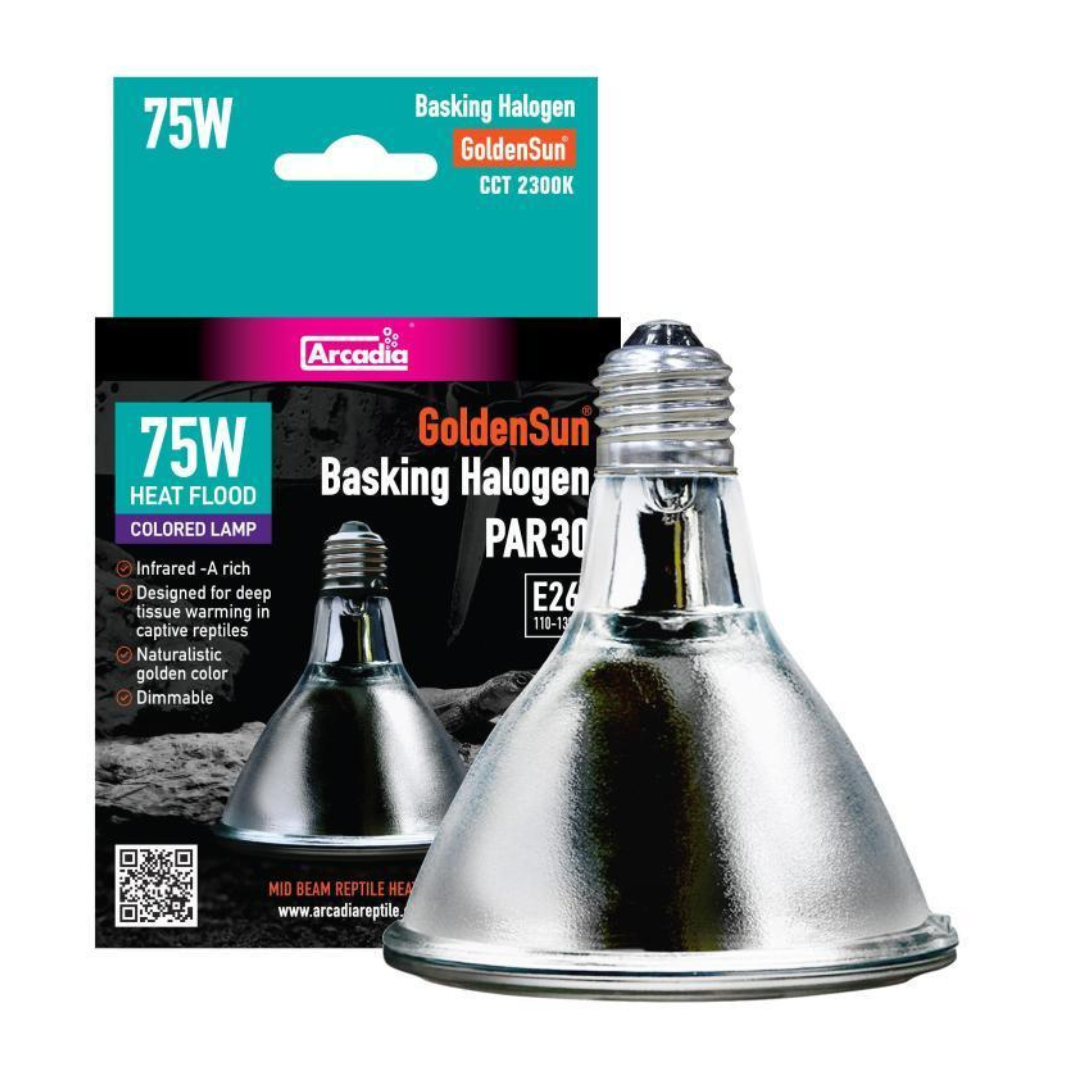 Arcadia GoldenSun Basking Halogen Heater 75W Heating ReptiChip LLC