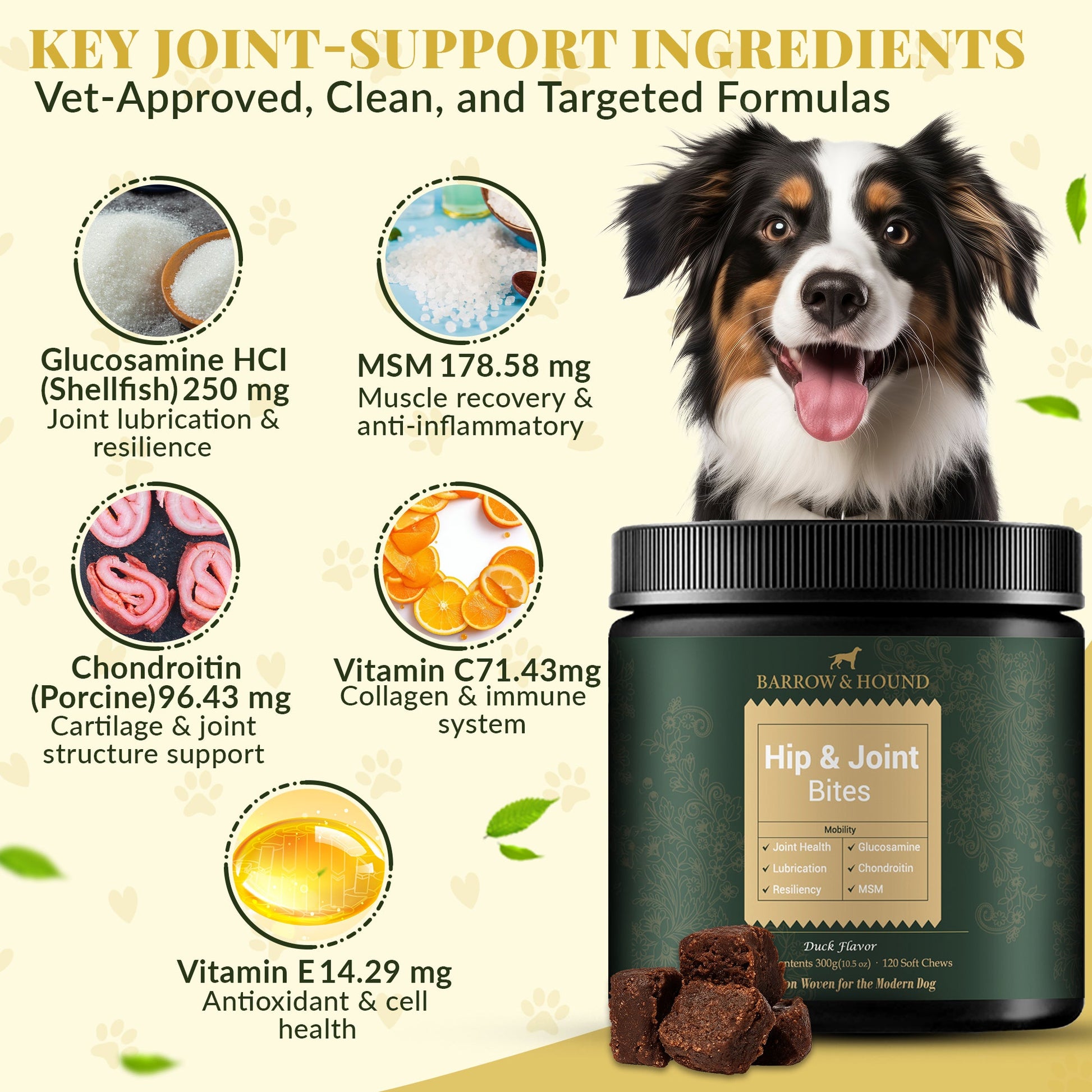 Hip & Joint Supplement for Dogs – Mobility Support for All Breeds Supplements Barrow & Hound