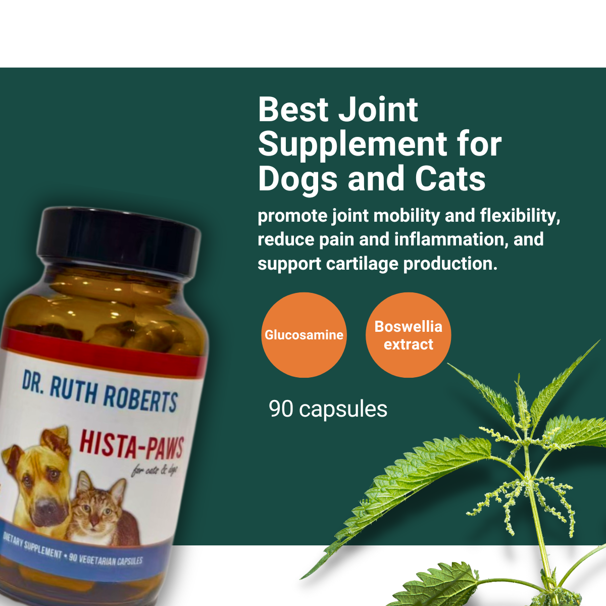 Arthri-Pawz – with Glucosamine for Cats and Dogs Joint Support Dr. Ruth Roberts