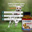 Arthri-Pawz – with Glucosamine for Cats and Dogs Joint Support Dr. Ruth Roberts