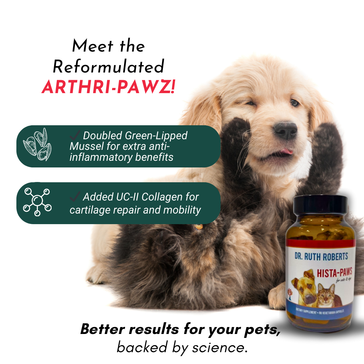 Arthri-Pawz – with Glucosamine for Cats and Dogs Joint Support Dr. Ruth Roberts