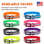 Biothane Translucent Reflective Dog Collar Dog Collar Dogline