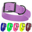 Biothane Waterproof Dog Collar - 1.5in Wide - XX-Large (24 to 28 inches) Dog Collar Dogline