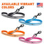 Reflective Biothane Dog Leash with Black Hardware Dog Leashes Dogline