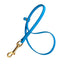 Biothane Dog Grooming Loop Cerulean Blue 3 8" Dog Leashes Dogline
