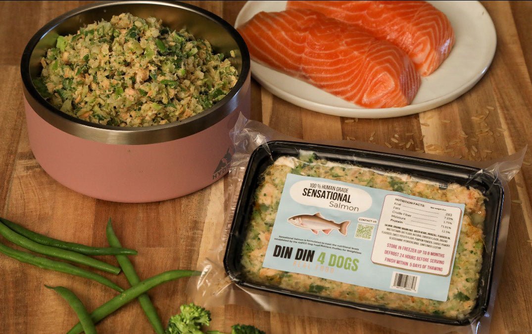 Sensational Salmon - case includes 24, 8oz meals Dog Food Din Din 4 Dogs