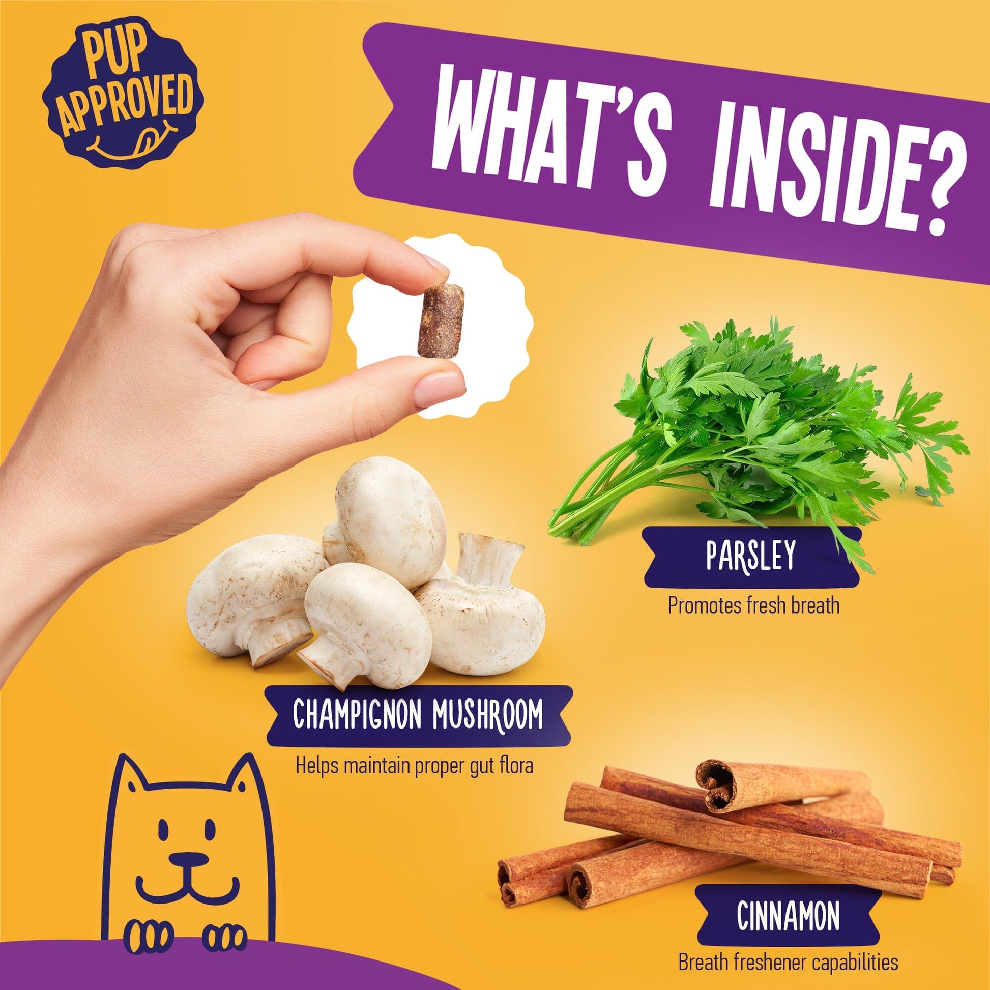 Breath Aid With Cinnamon For Dogs 9oz Jar (120 count) Dog Soft Chews Dogline