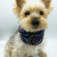 'Brett' Reversible Pet Snood Dog Snood BESPOKE PAWS