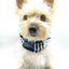 'Bobby' Reversible Pet Snood Snood BESPOKE PAWS