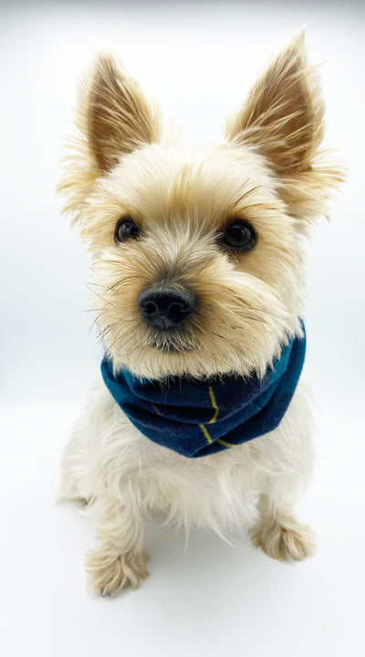 'Blair' Reversible Pet Snood Dog Snood BESPOKE PAWS