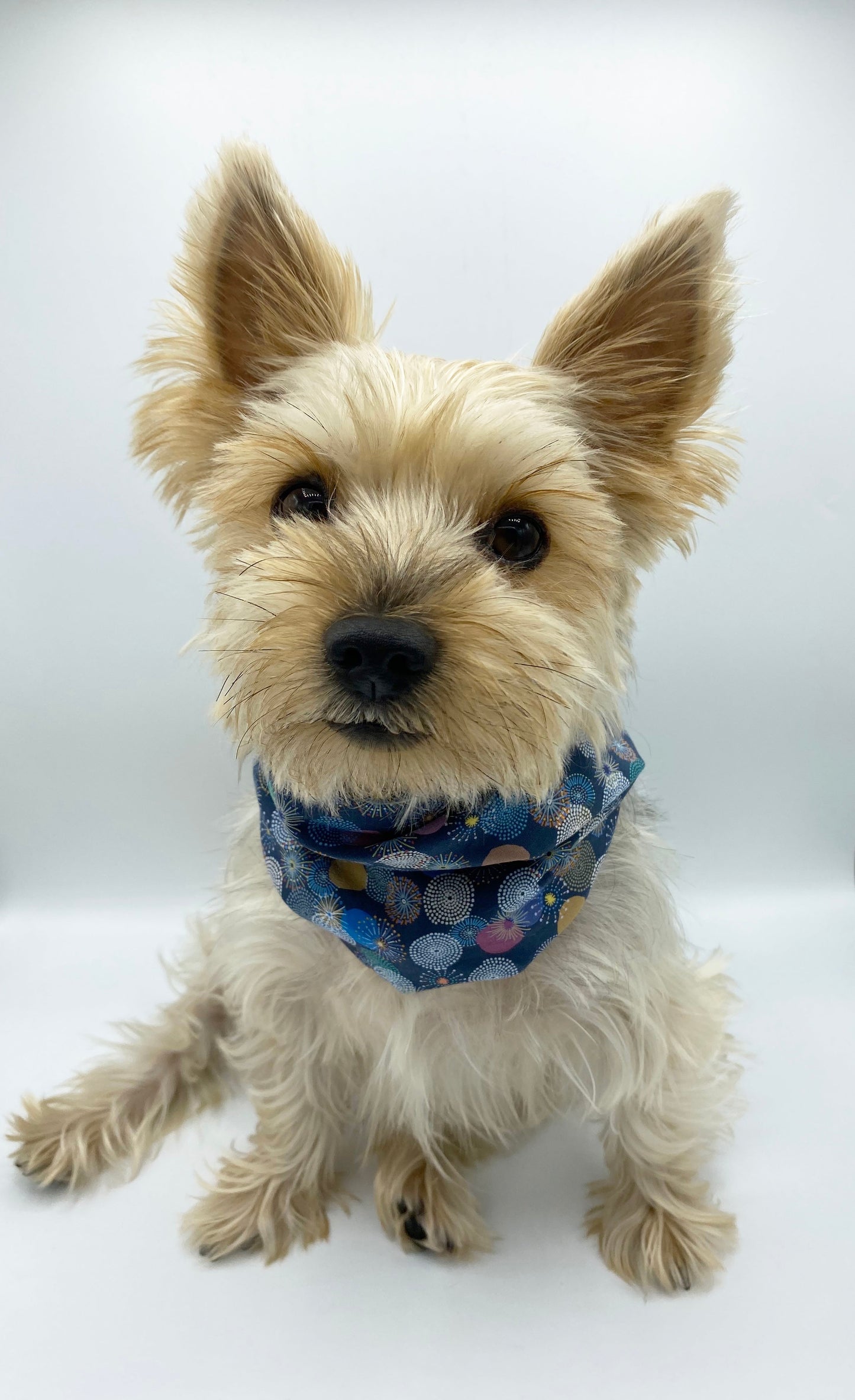 'Blair' Reversible Pet Snood Dog Snood BESPOKE PAWS