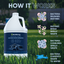Outdoor Odor Eliminator Pet & Animal > Outdoor Odor EcoStrong