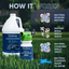 Outdoor Odor Eliminator Pet & Animal > Outdoor Odor EcoStrong