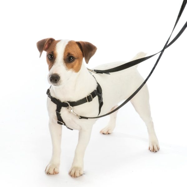 Jolly Gnomes Freedom No-Pull Dog Harness – EarthStyle 2 Hounds Design