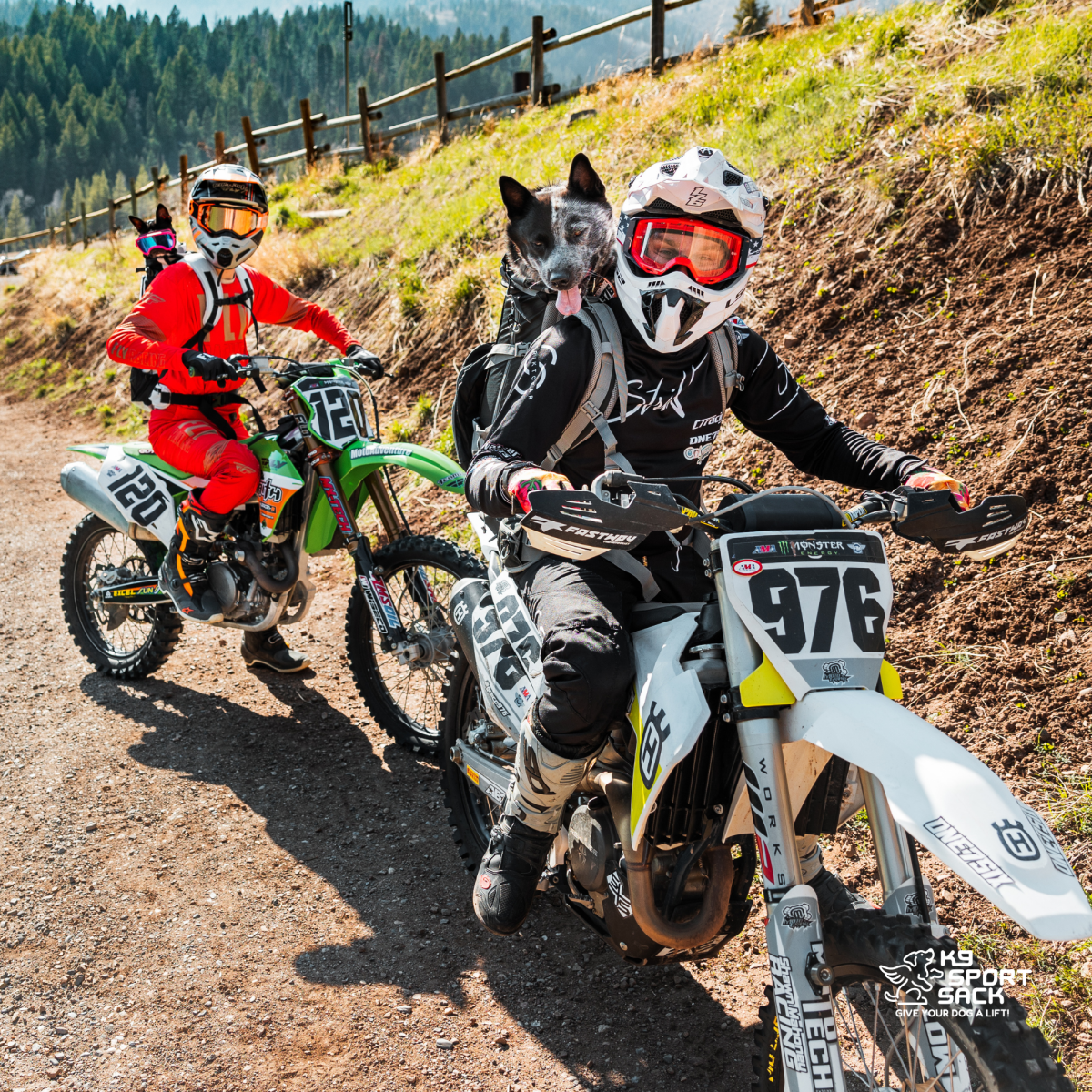 Kolossus | Big Dog Carrier & Backpacking Pack Carriers K9 Sport Sack