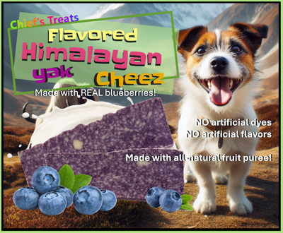 Blueberry Flavored Yak Cheese Chew - Made with REAL BLUEBERRY Puree - Single One Yak Chew Chief’s Treats and Pet Supplies