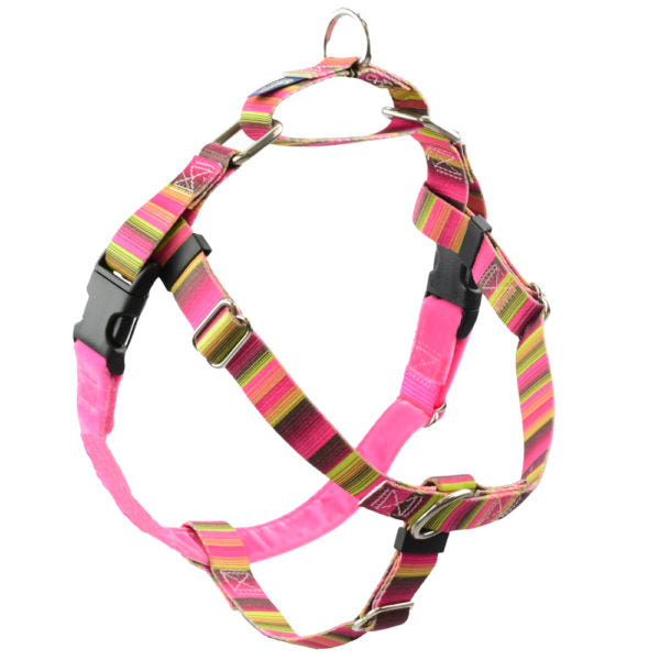 Bonnie Freedom No-Pull Dog Harness – EarthStyle 2 Hounds Design