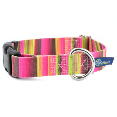 Bonnie Buckle Martingale Dog Collar – EarthStyle Martingale Dog Collar 2 Hounds Design