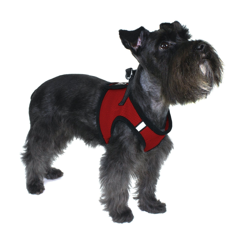 Boston Mesh Dog Harness + Built-in Hook & Loop Fastener Dog Harnesses Dogline