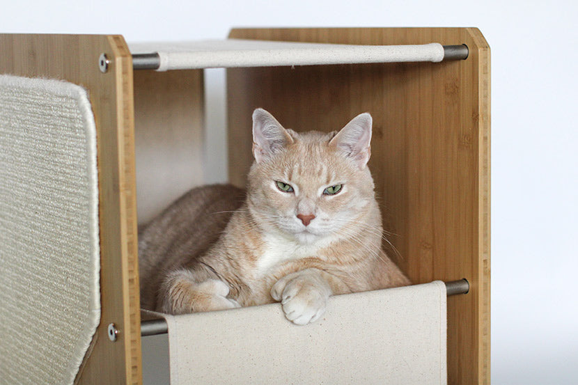 The Grotto - Short Cat Tree for Small Spaces Cat Condo Catastrophic Creations