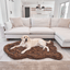 PupRug by Paw.com® Faux Fur Orthopedic Dog Bed - Curve Brown Medium (40" L x 25" W) Dog Beds Paw