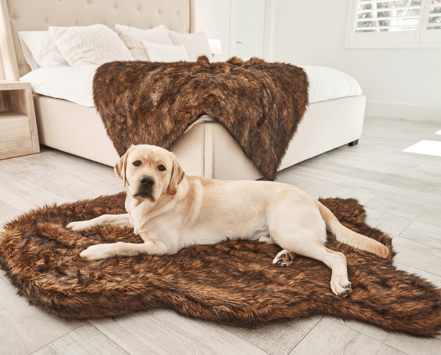 PupRug by Paw.com® Faux Fur Orthopedic Dog Bed - Curve Brown Dog Beds Paw