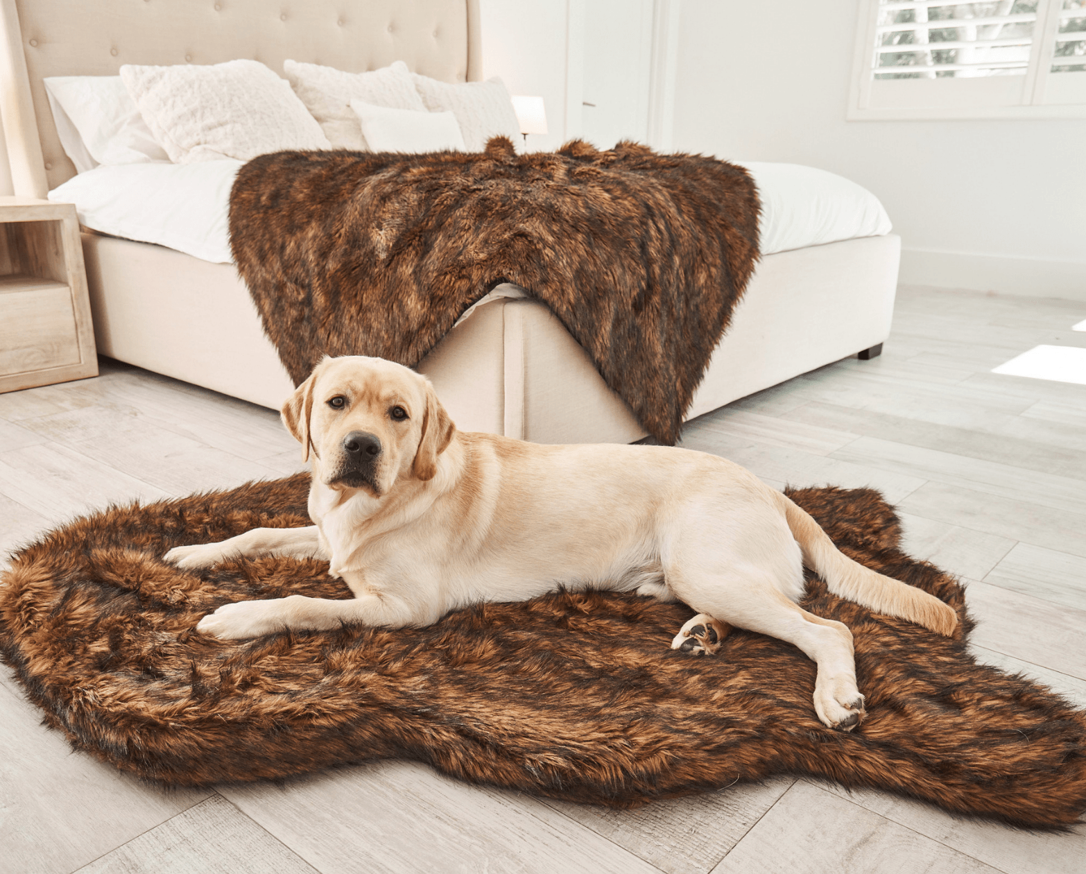 PupRug by Paw.com® Faux Fur Orthopedic Dog Bed - Curve Brown Dog Beds Paw