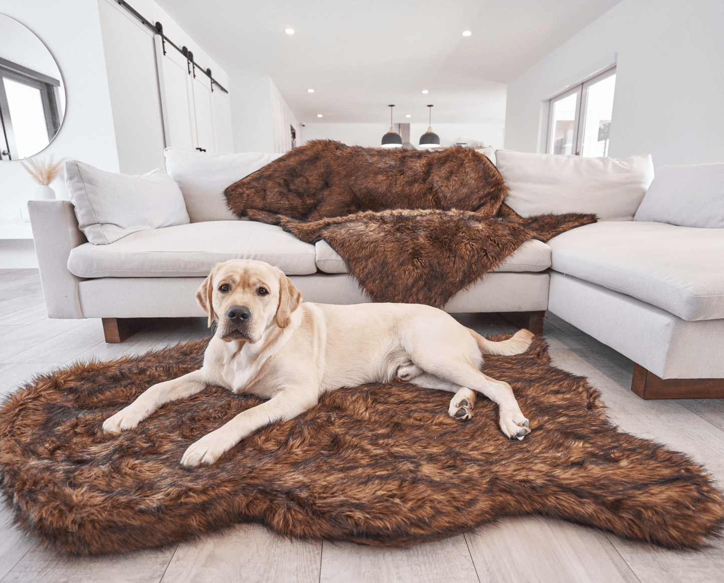 PupRug by Paw.com® Faux Fur Orthopedic Dog Bed - Curve Brown Dog Beds Paw