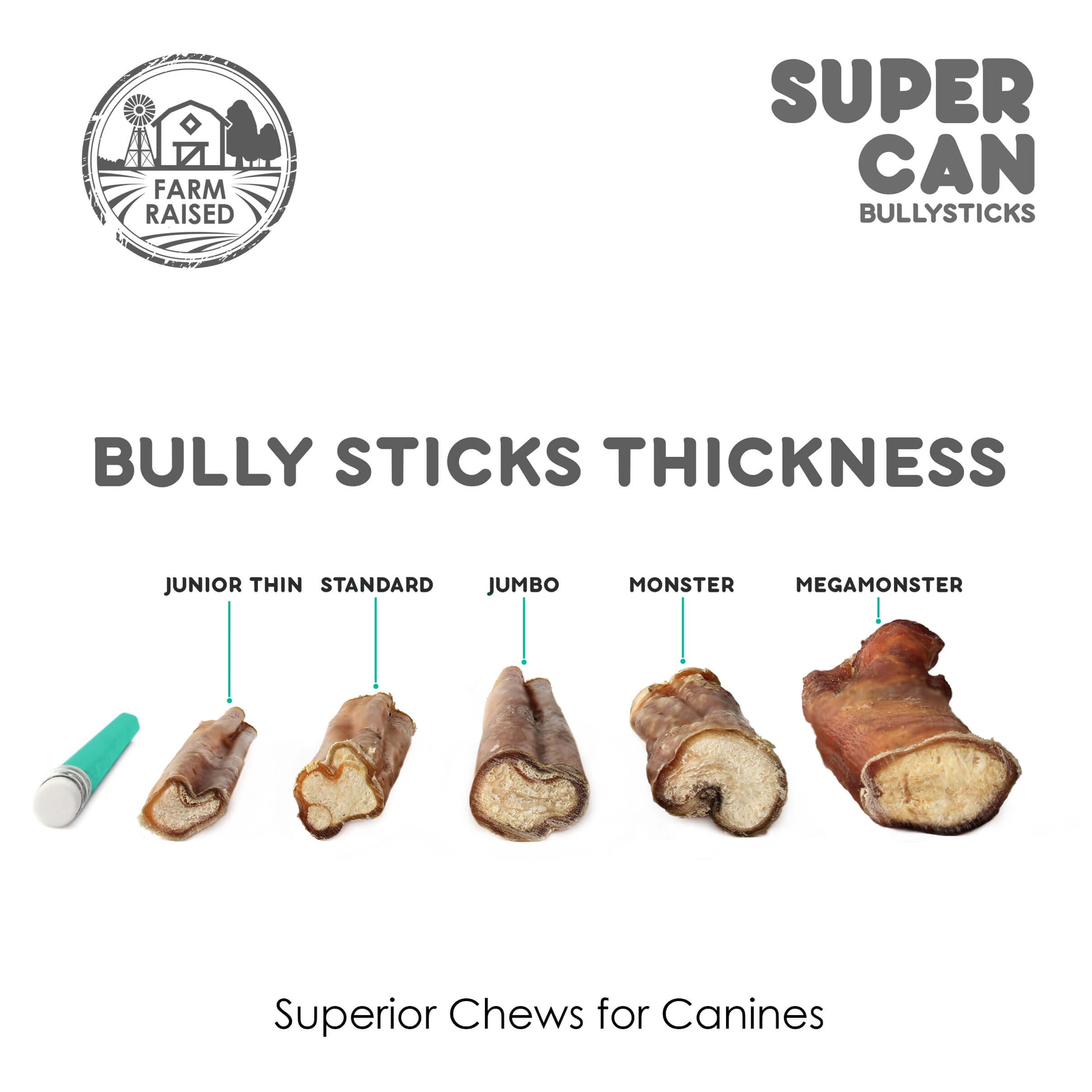 6" Mega Monster Bully Sticks (10-Pack) Bully Sticks for Dogs SuperCan Bully Sticks