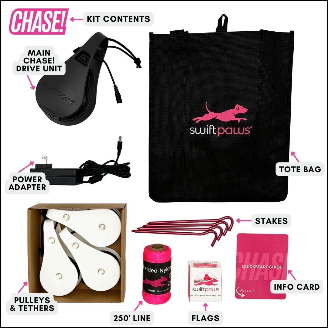 CHASE! Kit Enrichment Product SwiftPaws