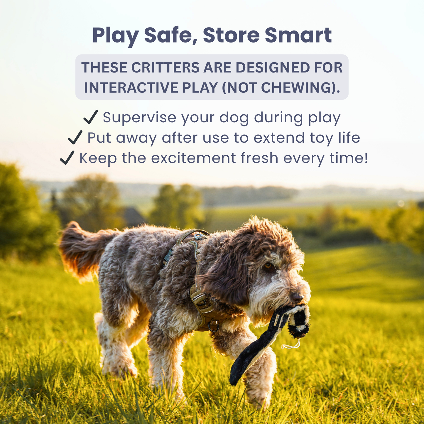 Critter Pack Accessories SwiftPaws