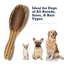 Country Living Dual-Sided Natural Wood Dog Brush - Ergonomic, Durable & Versatile Grooming Kits American Pet Supplies
