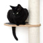 The Crow's Nest - A Wall Cat Scratcher with Hammock Cat Condo Catastrophic Creations