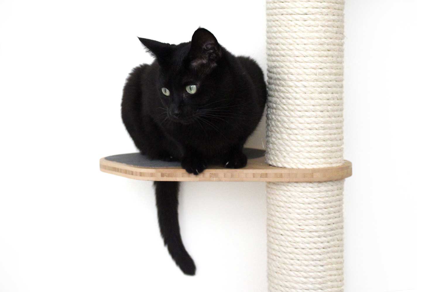 The Crow's Nest - A Wall Cat Scratcher with Hammock Cat Condo Catastrophic Creations