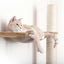 The Crow's Nest - A Wall Cat Scratcher with Hammock Cat Condo Catastrophic Creations
