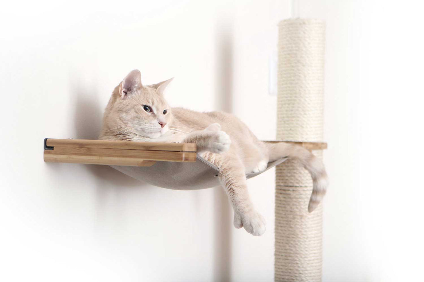 The Crow's Nest - A Wall Cat Scratcher with Hammock Cat Condo Catastrophic Creations