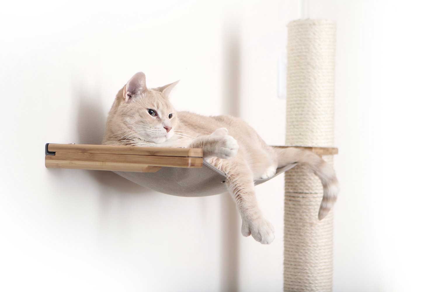 The Crow's Nest - A Wall Cat Scratcher with Hammock Cat Condo Catastrophic Creations