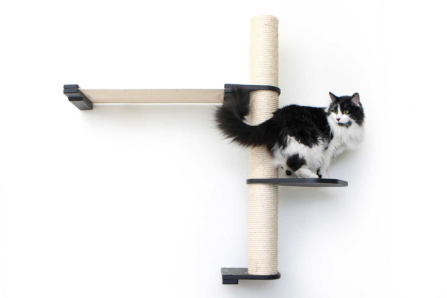 The Crow's Nest - A Wall Cat Scratcher with Hammock Cat Condo Catastrophic Creations