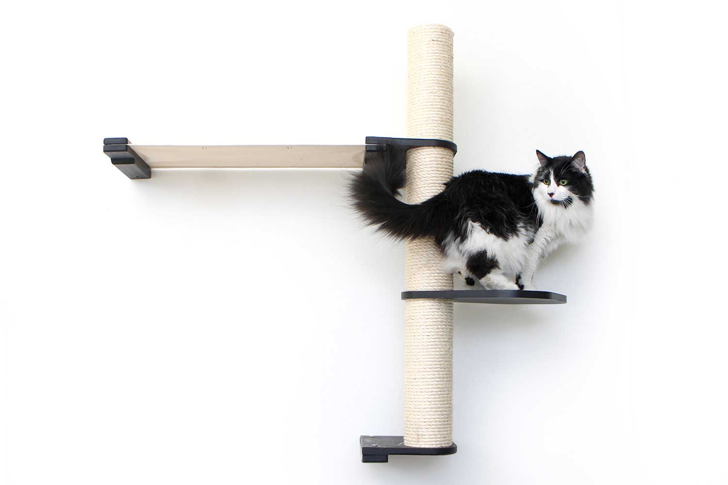 The Crow's Nest - A Wall Cat Scratcher with Hammock Cat Condo Catastrophic Creations