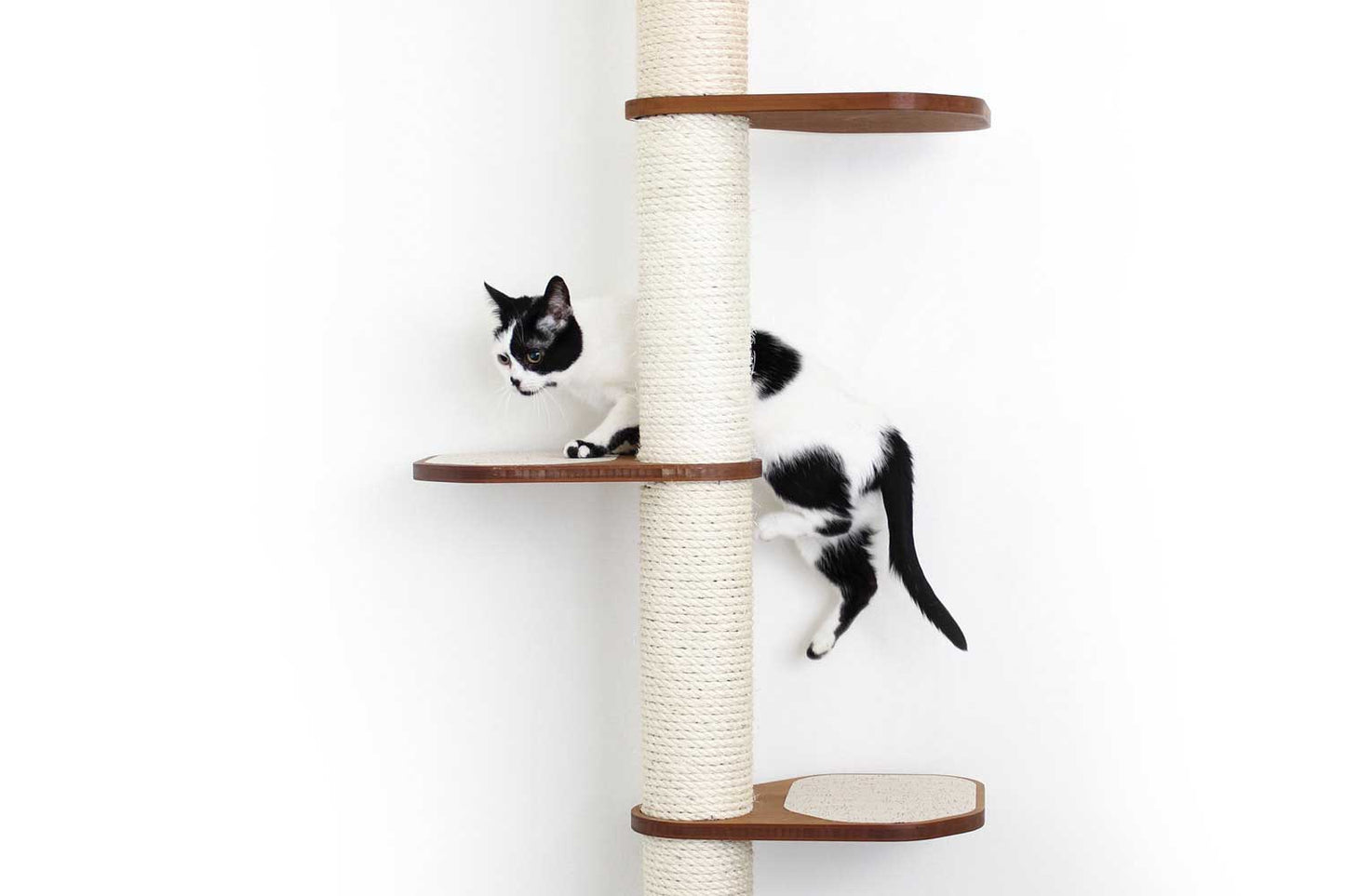 The Crow's Nest - A Wall Cat Scratcher with Hammock Cat Condo Catastrophic Creations